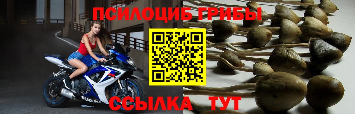 Лабытнанги  Псилоцибиновые грибы ЛСД  наркотики  Вход с VPN 